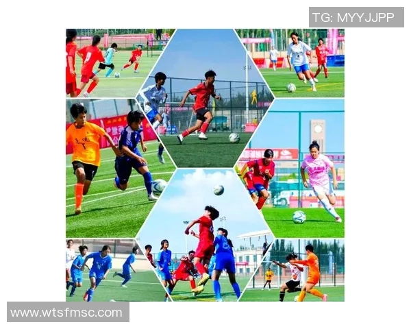 羊年足球盛宴羊群齐聚绿茵场展现激情与团结的精彩对决