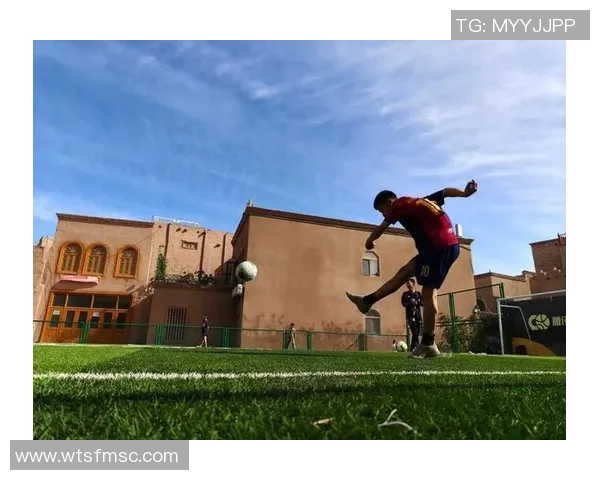 街头足球金的魅力与挑战探索城市街头的足球文化与未来发展