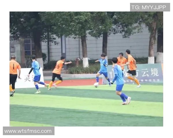 苍南足球热潮兴起青少年踢球风气日益浓厚助力地方体育发展