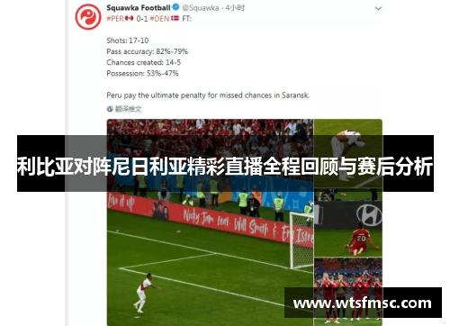 利比亚对阵尼日利亚精彩直播全程回顾与赛后分析