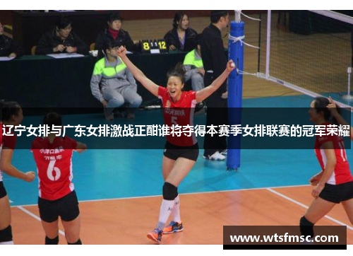 辽宁女排与广东女排激战正酣谁将夺得本赛季女排联赛的冠军荣耀