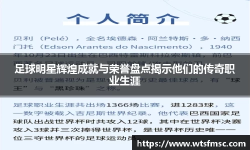 足球明星辉煌成就与荣誉盘点揭示他们的传奇职业生涯